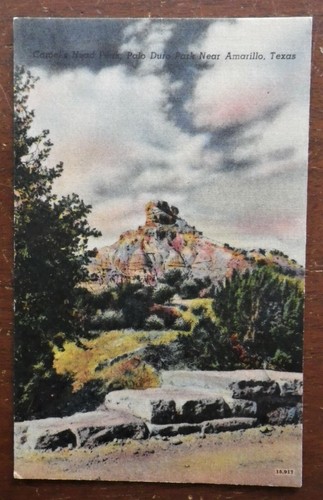 Cartolina camels head peak - cartolina,
