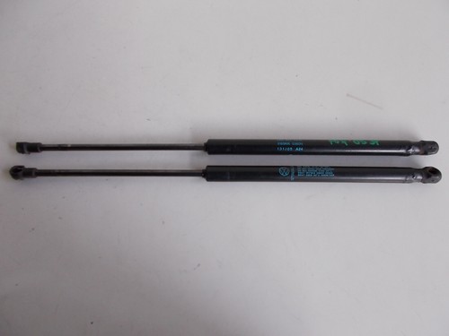 Coppia molle gas - coppia,