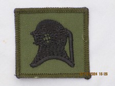 Royal Ingegneri, Avanzato
