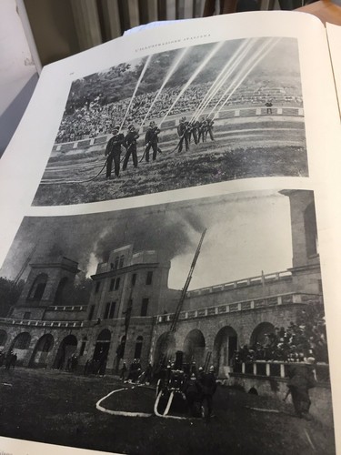 L'illustrazione