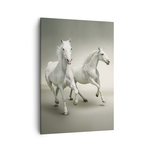 Quadro tela 50x70cm - tela, animali