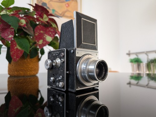 Bentzin primarflex primotar - bentzin,