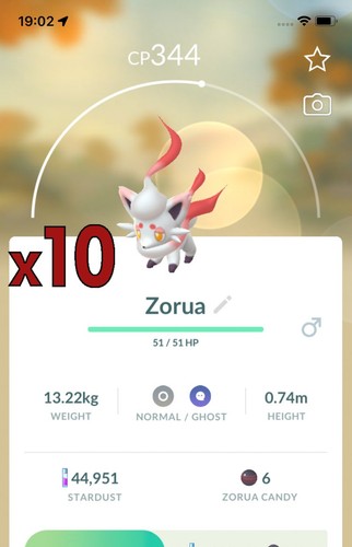 10x hisuian zorua pokemon - hisuian,