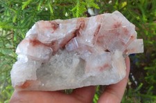 Campione Di Minerali Di Apofillite Stilbite Su Calcedonio G=67