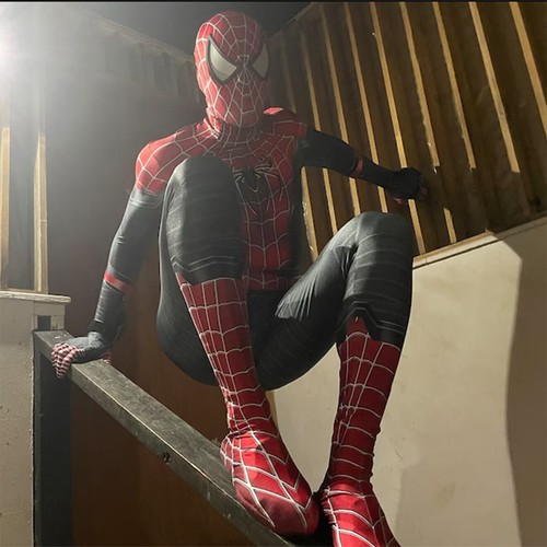 Costume toby spider - costume,