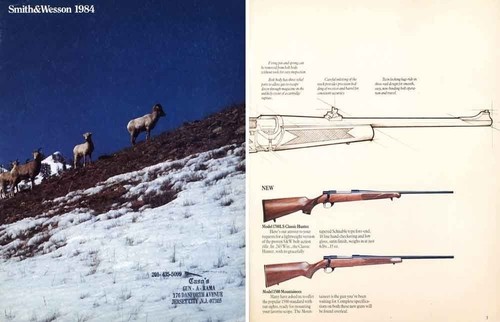 Smith wesson 1984 gun - smith,