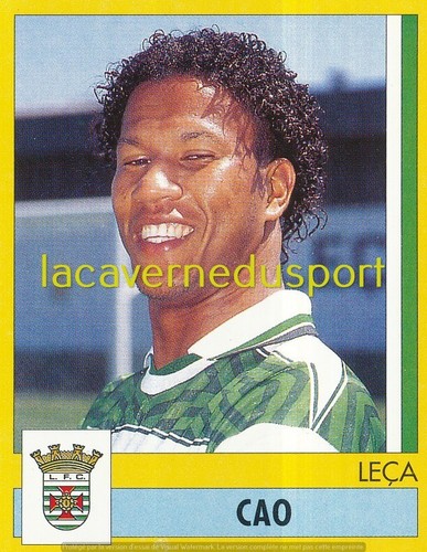 236 cao cabo verde leca - cao,