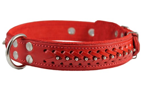Collare per cani vera - collare,