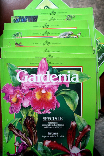 Rivista gardenia anno 1988 - 1988, 8