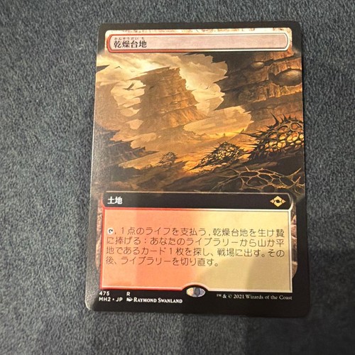 Mtg modern horizons - horizons, dry