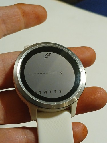 Smartwatch garmin vivoactive - garmin, 3