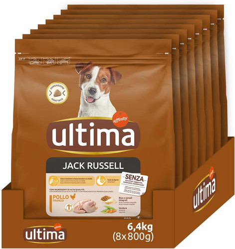 Taglia piccola jack - piccola,