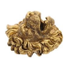  Fontana testa di leone