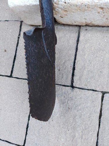 Vanghetta austriaca - vanghetta,