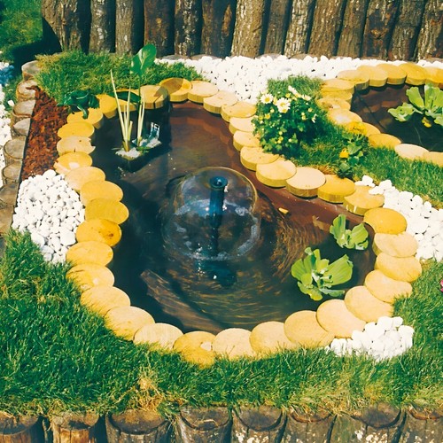 Laghetto giardino bracciano - laghetto,