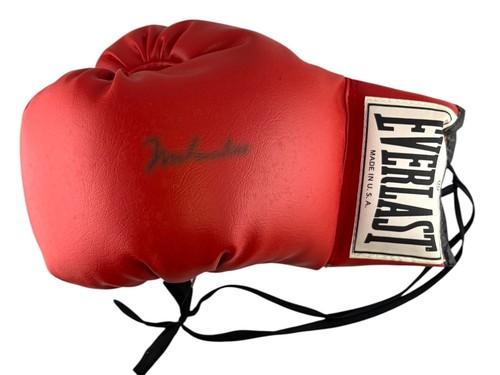 Guantone boxe everlast - da,