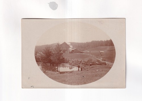 F4775 cartolina austria - f4775),