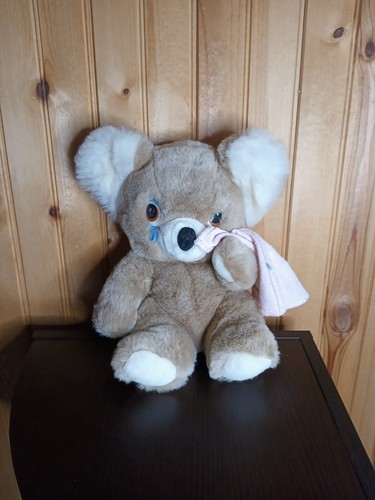 Peluche orso che piange