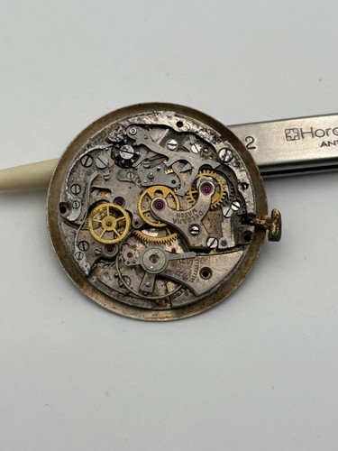 Delbana venus chrono 31mm - delbana,