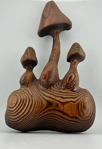 Funghi legno intagliato - funghi,