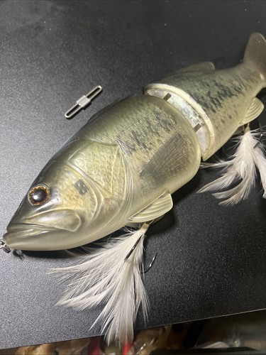Deps code name bass member - deps,