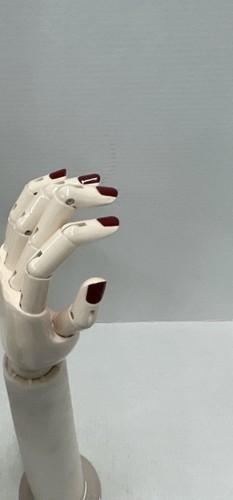 Artist jointed articulated - artist,