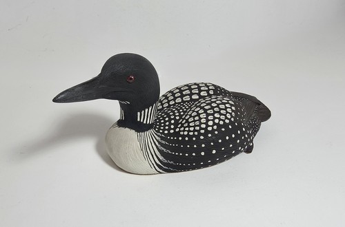 Anatra common loon firmata - anatra,