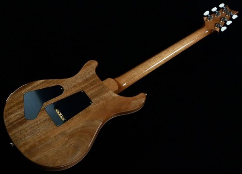 Paul reed smith - paul, prs