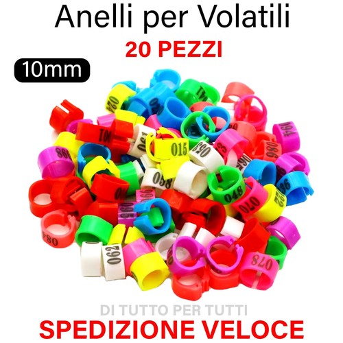 Anelli colorati numerati - 20,