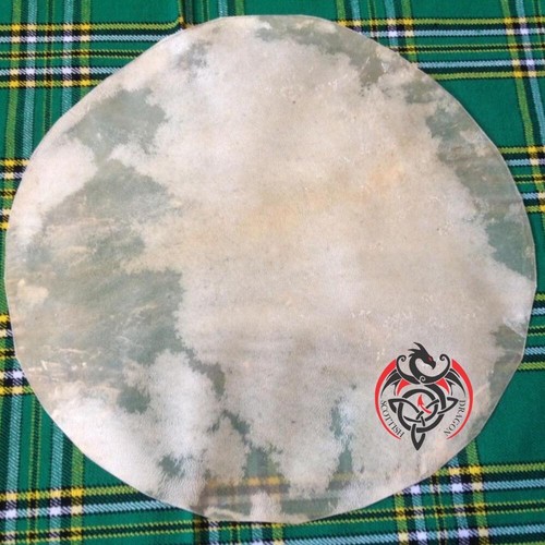 Banjo testa batteria - , pelle