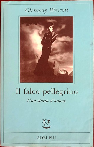 Falco pellegrino una - il,