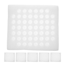  6 pezzi di quaglie per