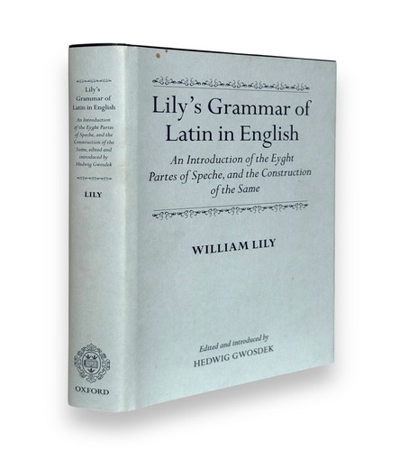 Lily grammar latin in - lily's,