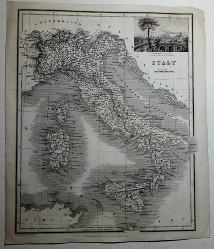 Incisione acciaio pianta - incisione,