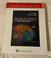 Neuroscience: Exploring the