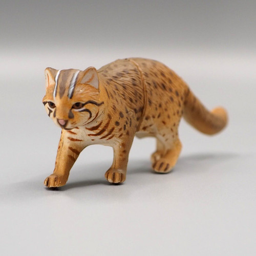 Tsushima leopardo gatto