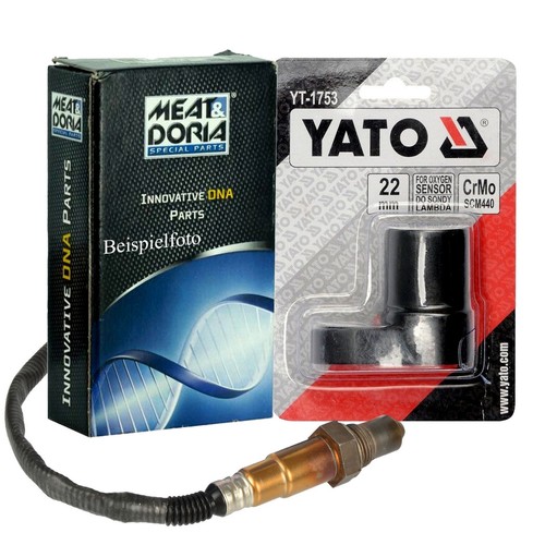 Sonda lambda meat doria - meat, &