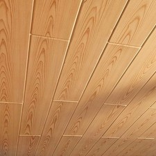 Tavole/Pannelli da Soffitto in