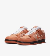 Nike SB Dunk Low Orange