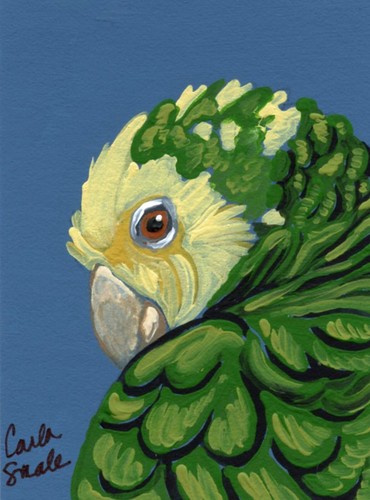 Aceo atc originale - atc,