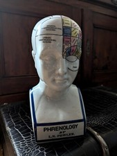 Phrenology bust from London
