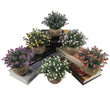 Bonsai plastica per respiro - per,