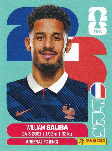 Panini fifa world - cup, 2026
