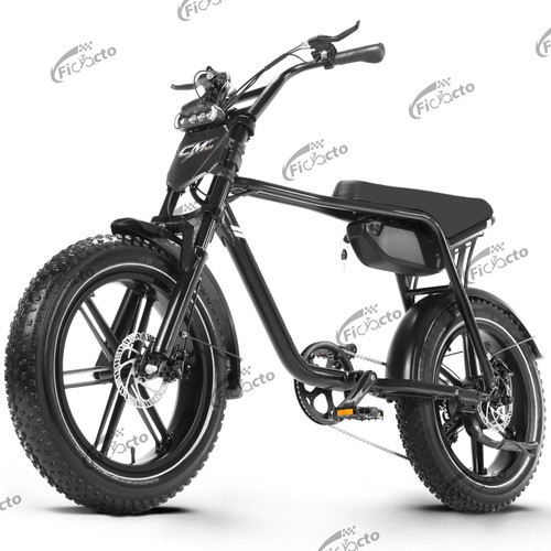 Bicicletta elettrica