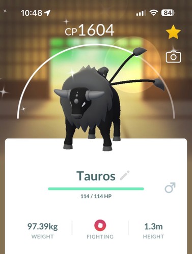 Shiny tauros combat pokémon - shiny,