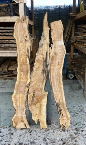 Tavole legno ulivo 3pezzi - di,