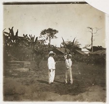 Africa Antilope Corna Del