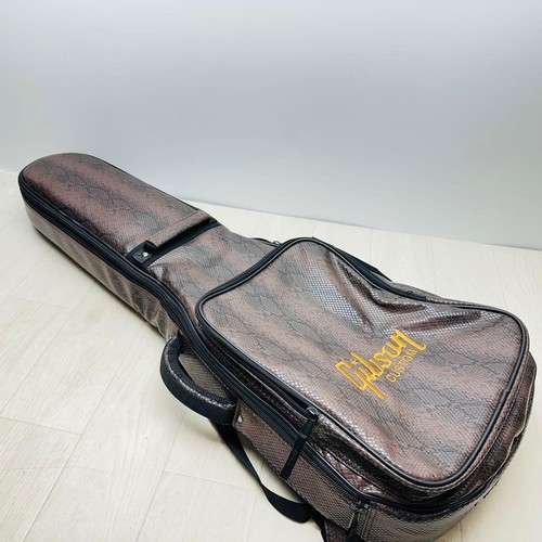 Rara custodia per chitarra
