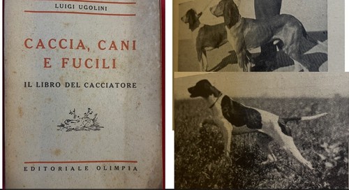 Luigi ugolini caccia - luigi, e