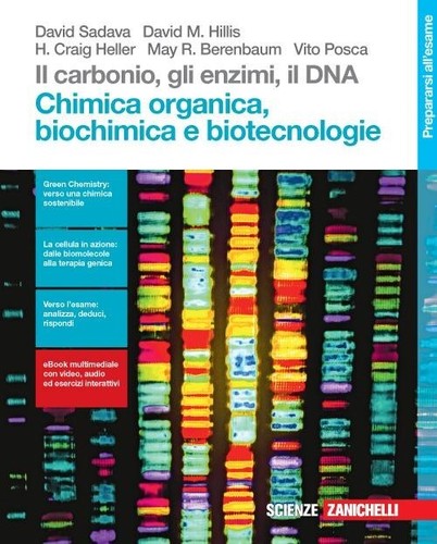 Carbonio gli enzimi - gli, il
